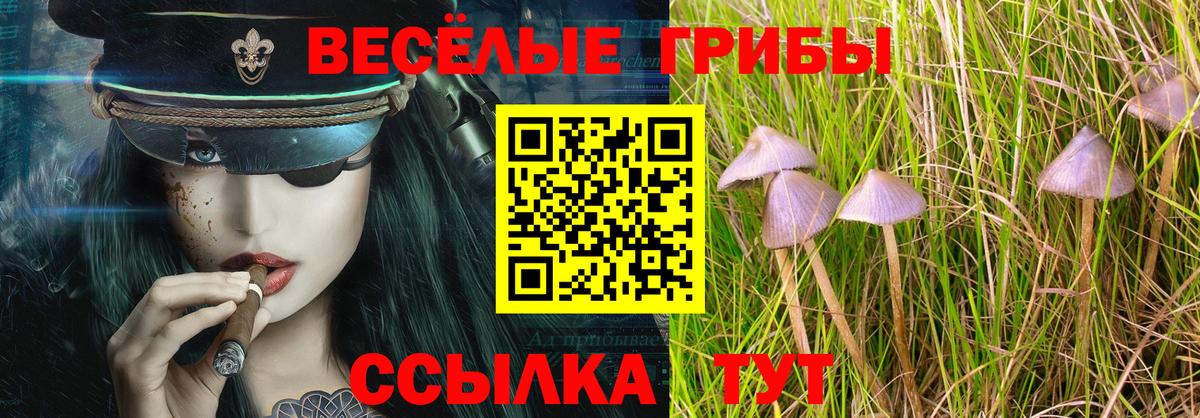 Гурьевск  Псилоцибиновые грибы ЛСД  Вход с VPN  Псилоцибиновые грибы мицелий 