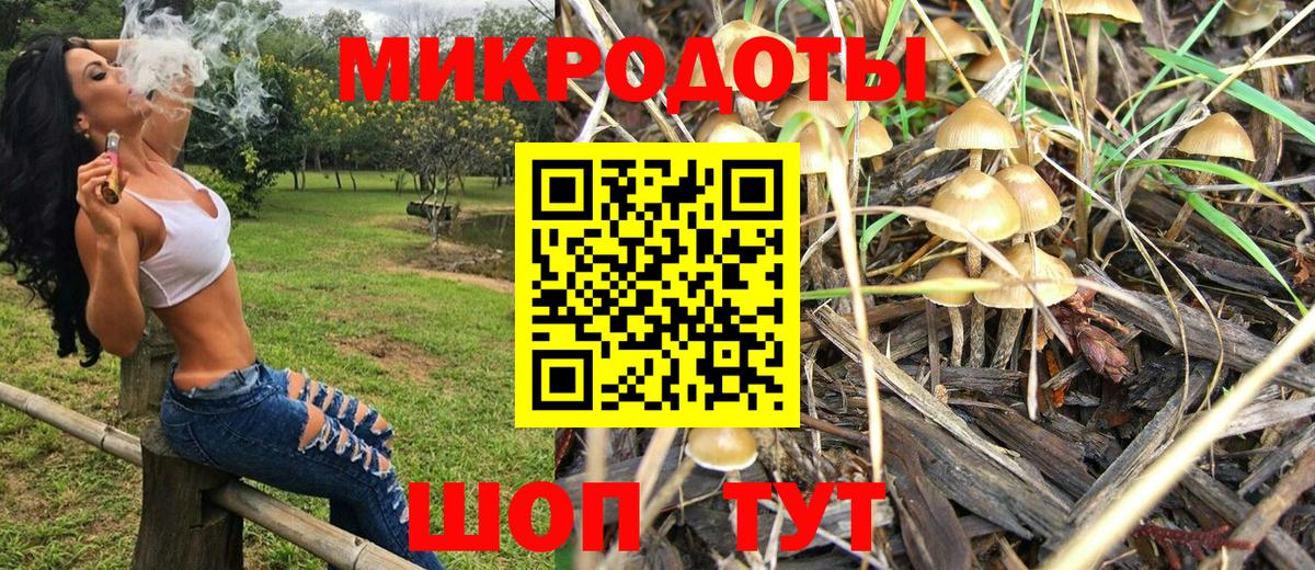 Псилоцибиновые грибы Magic Shrooms Гурьевск